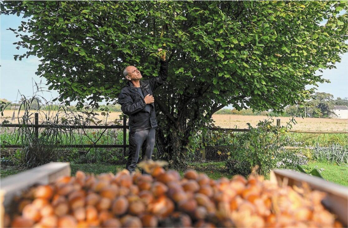 Mon jardinier Conseil