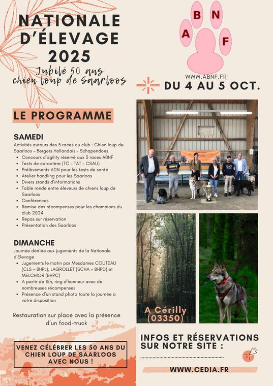 Nationale d'élevage du Berger Néerlandais_Cérilly