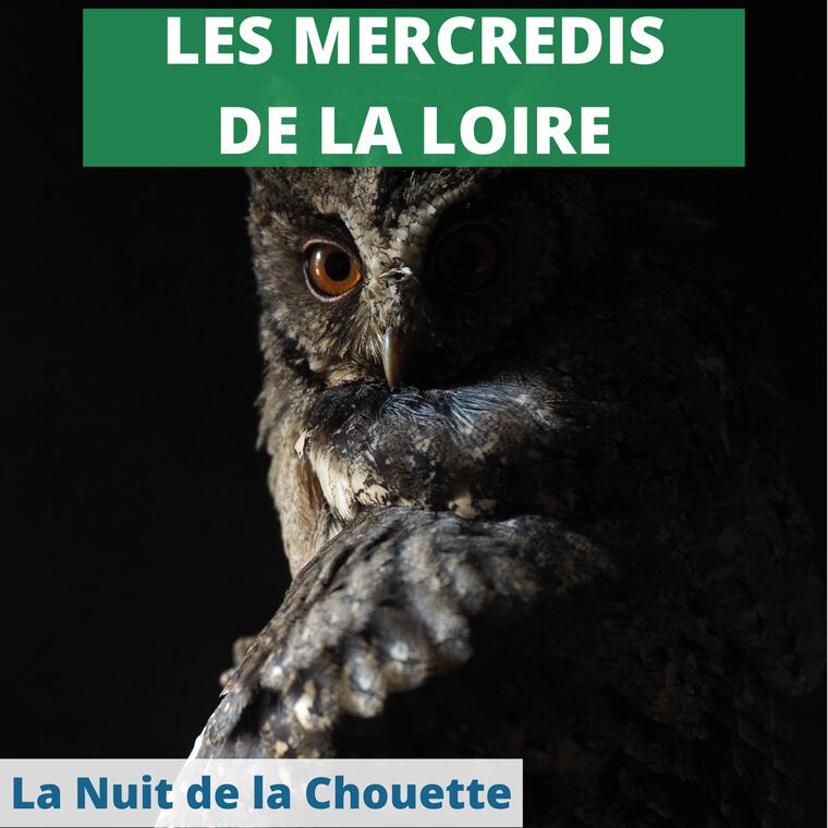 La Nuit de la Chouette