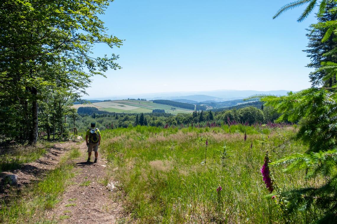 Itinérance au cœur des Monts de la Madeleine_Saint-Alban-les-Eaux