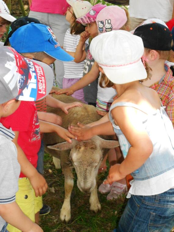 Ferme Seguin