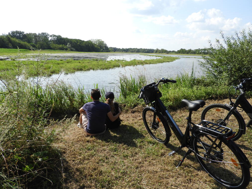 Les locations des Dombes