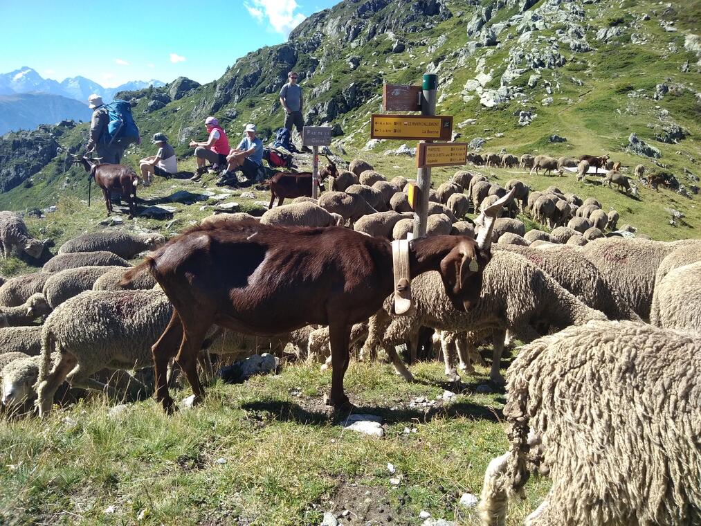 La Jasse - Aiguebelle [en cours de balisage]_Les Sept Laux Le Pleynet