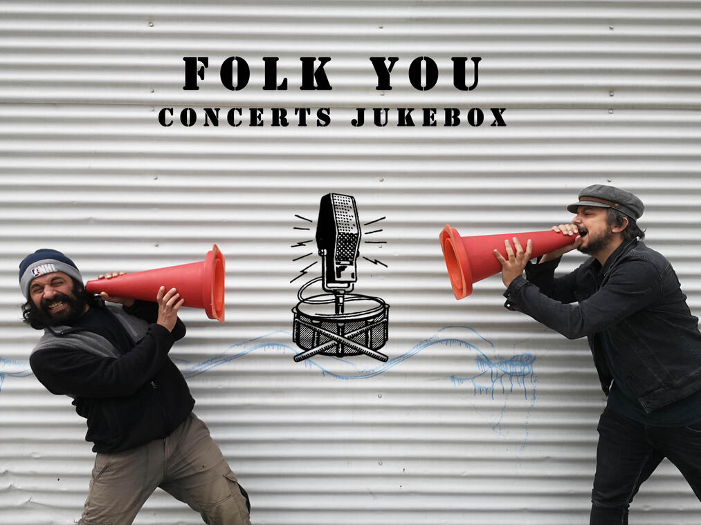Concert du groupe Folk You_Vars
