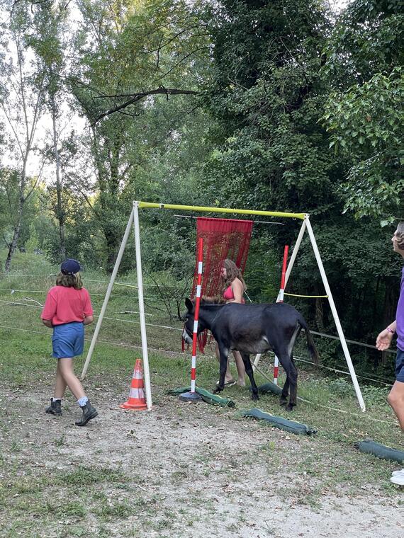 Parcours Agility