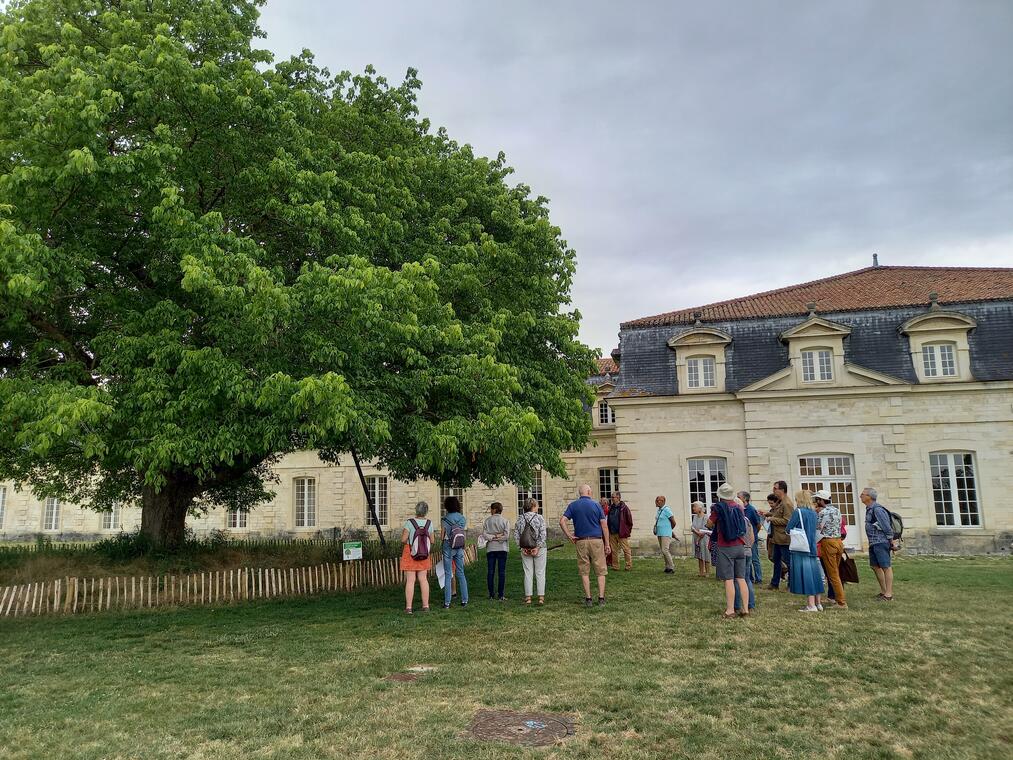 Viste du jardin