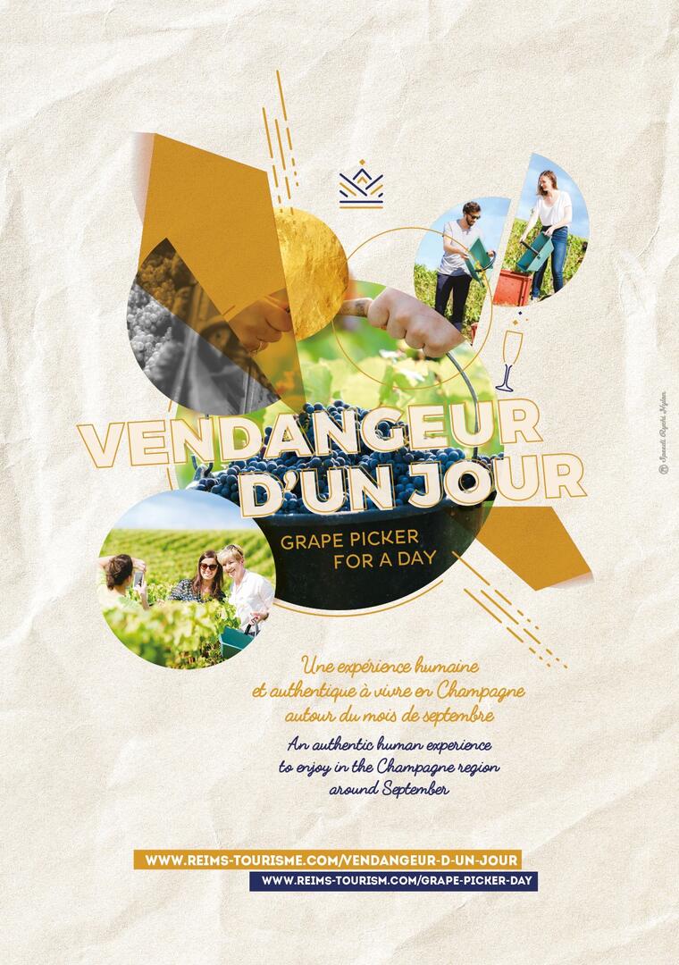 Affiche A4 Vendangeur d'un jour Reims.jpg