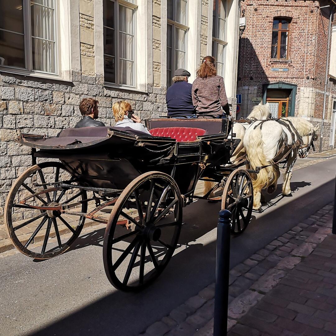 Balade-calèche-cheval-chevaux-Douai-Douaisis-Nord-France (5).jpg