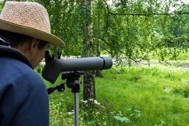 Observation.jpg