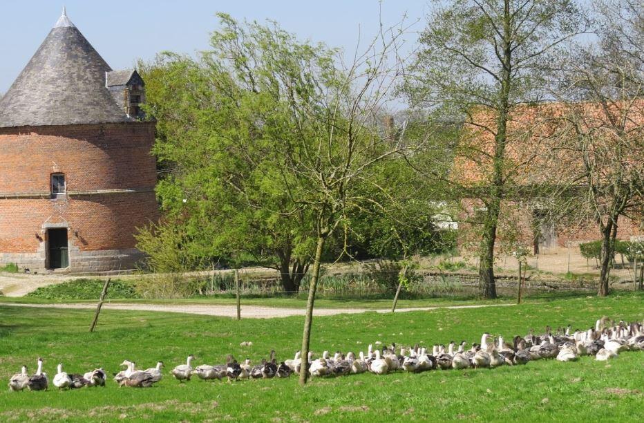 ferme du colombier.JPG