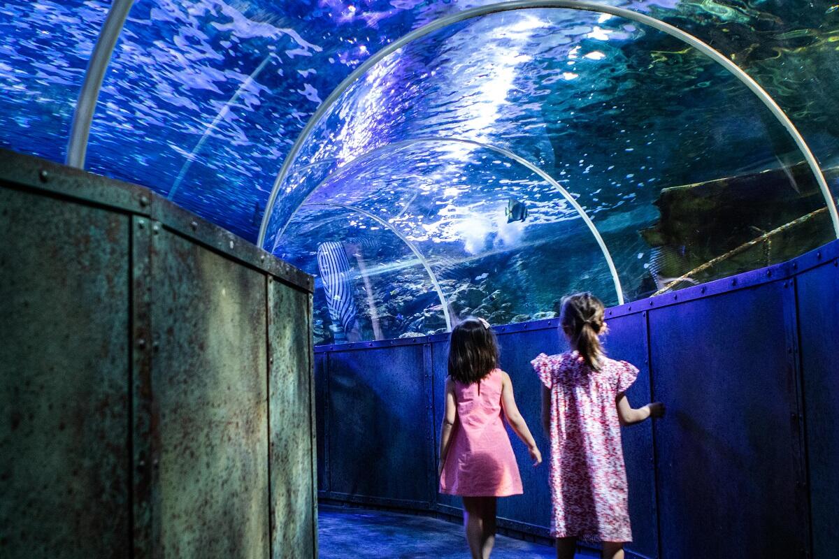 Grand Aquarium de Touraine 4.jpg