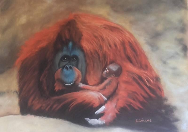Cours_stage_pastel_sec_Atelier_vieux_chene_La_Roche_Posay.jpg