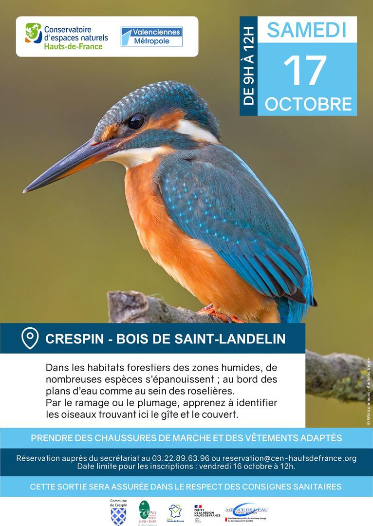 sortie-bois-crespin.jpg