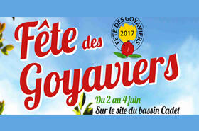 fête des goyaviers 2017.jpg