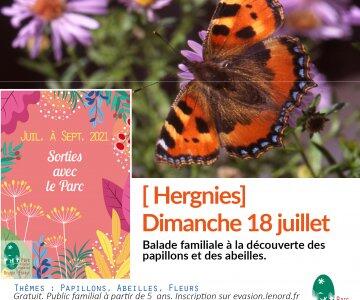 carre_fb18_juillet_hergnies.jpeg