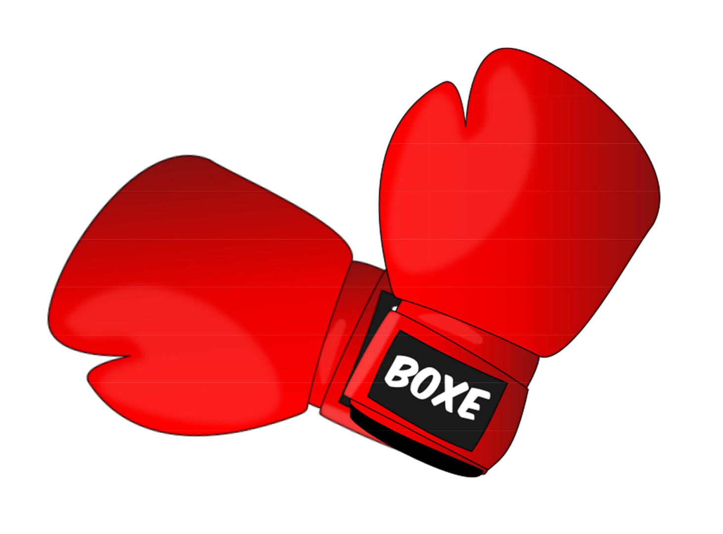 GANTS DE BOXE (6).jpg