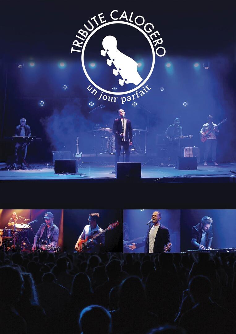 Tribute Calogero - Concert 17 aout.jpg