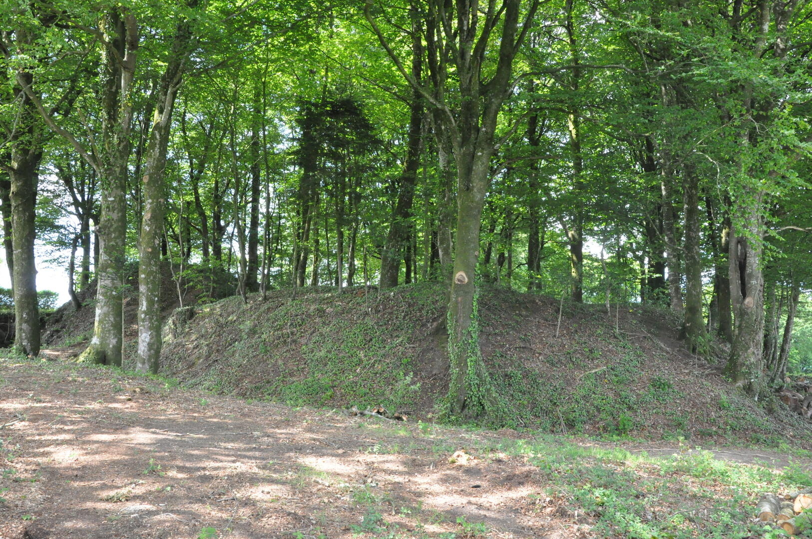Castel Vouden - Roudouallec - RMCom.JPG