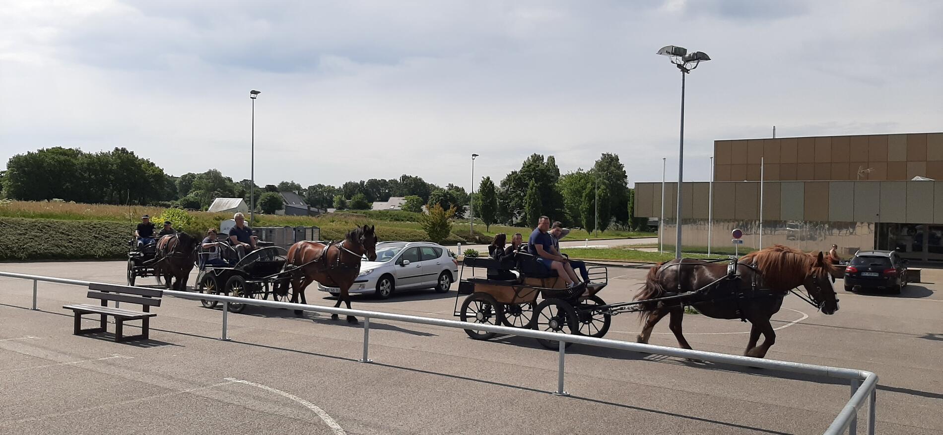 Cheval&Nature.jpg