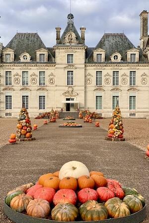 Potirons_automne_chateau_cheveny.jpg