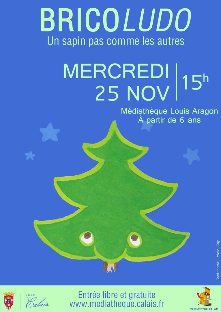 Bricoludo 25 nov.jpg