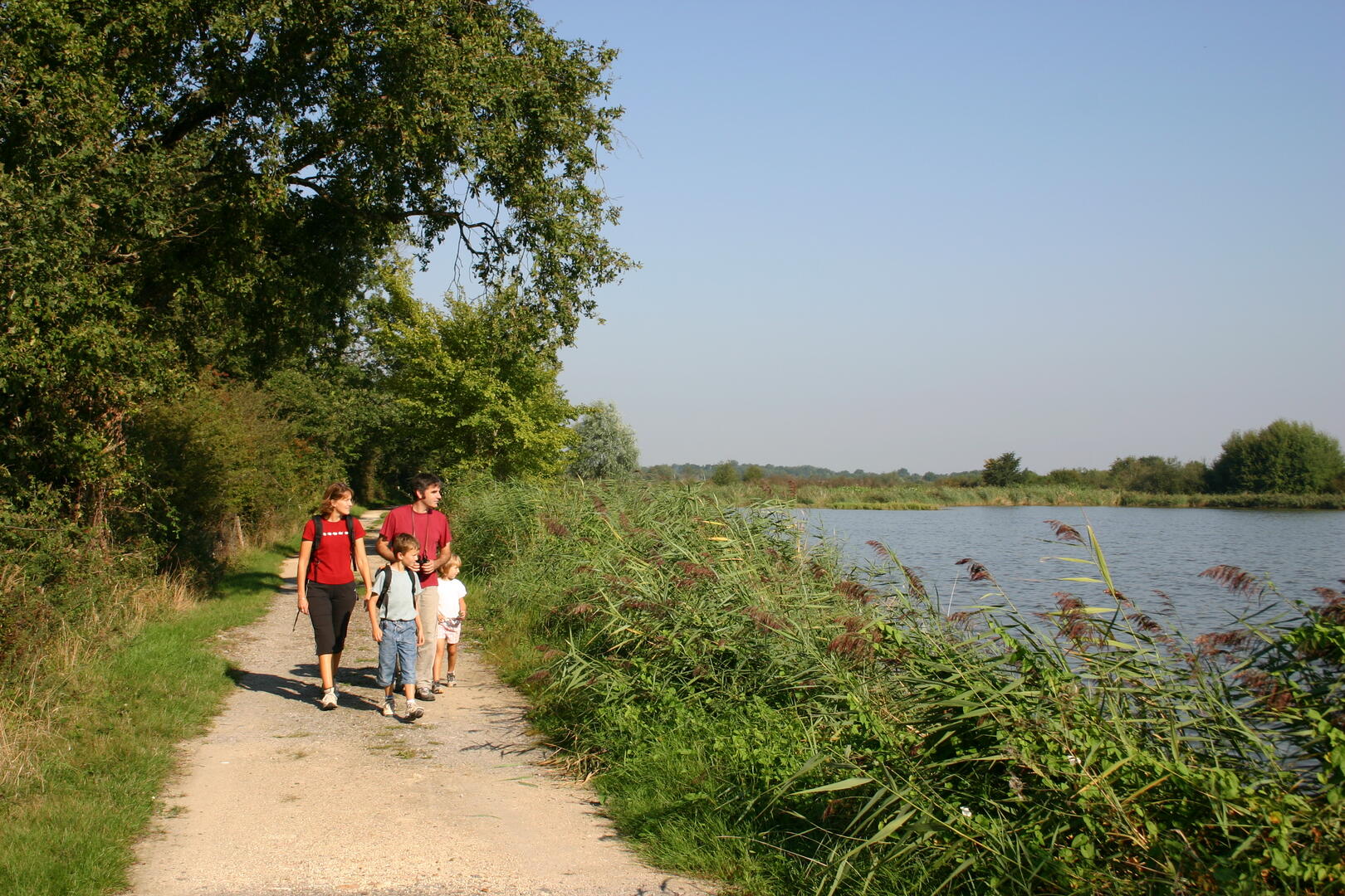 Parc_naturel_regional_Brenne.JPG