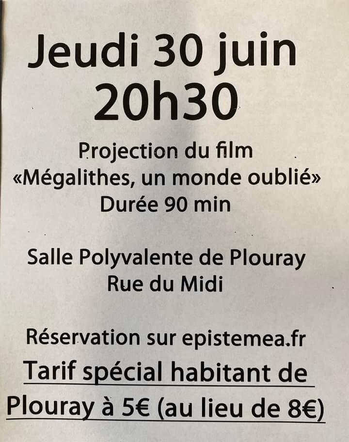 3006 plouray.jpg