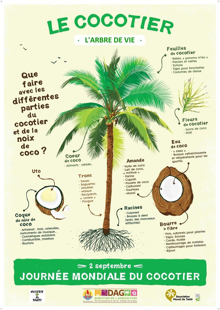 Visuel_Event_Journée Mondiale du Cocotier.jpg