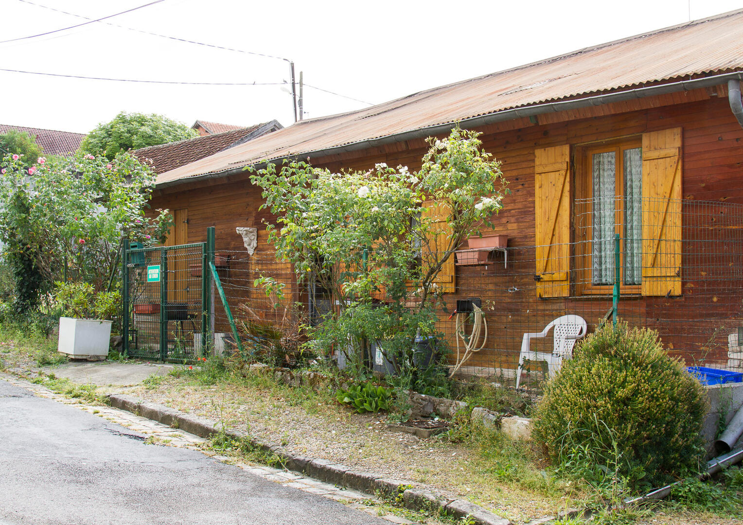 17.Baraque-Adrian.jpg
