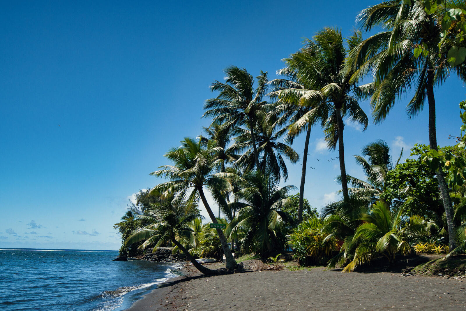 Tahiti - Pointe Tautira paysage - Tahiti Tourisme © Kristiyan Markov.jpeg