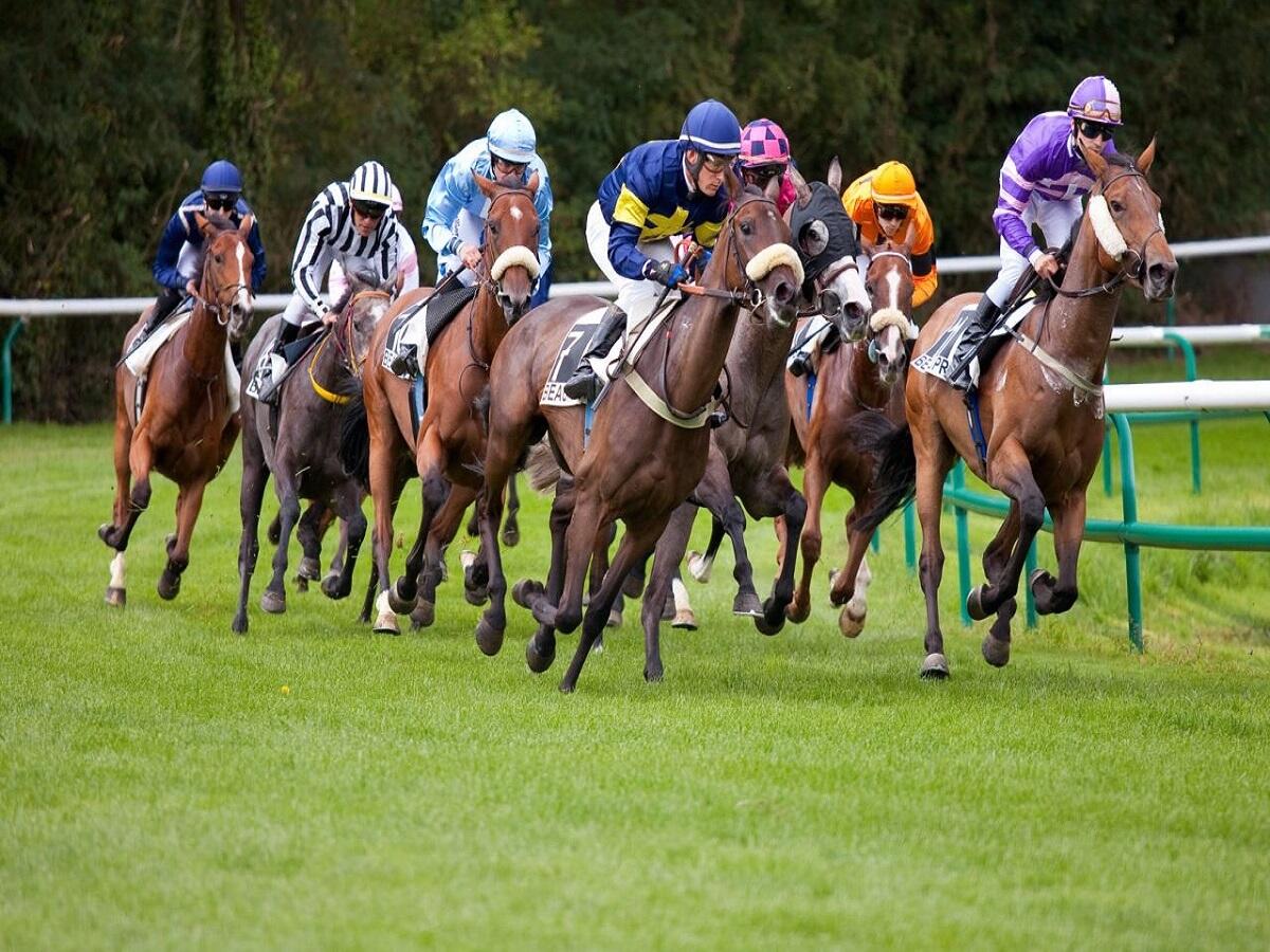 Course-hippique.jpg