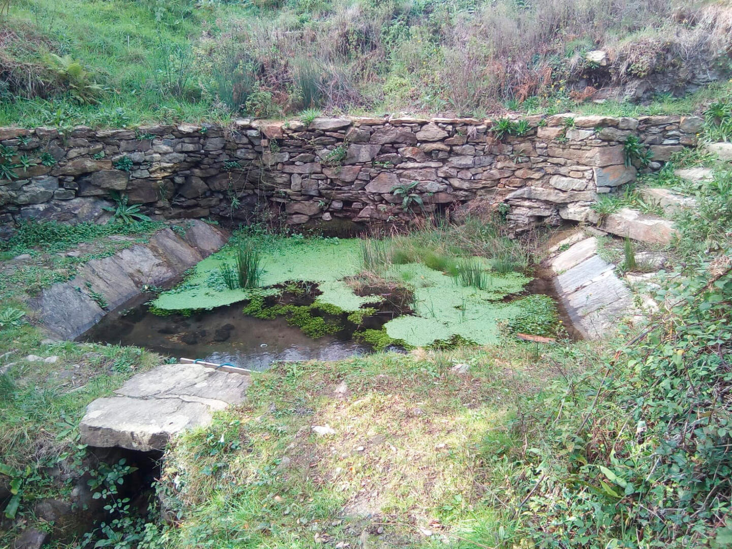 Lavoir de la Métairie.jpg