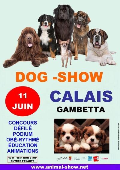 592d125272e7e55c09d3d2faSALON CHIEN - FB.JPG