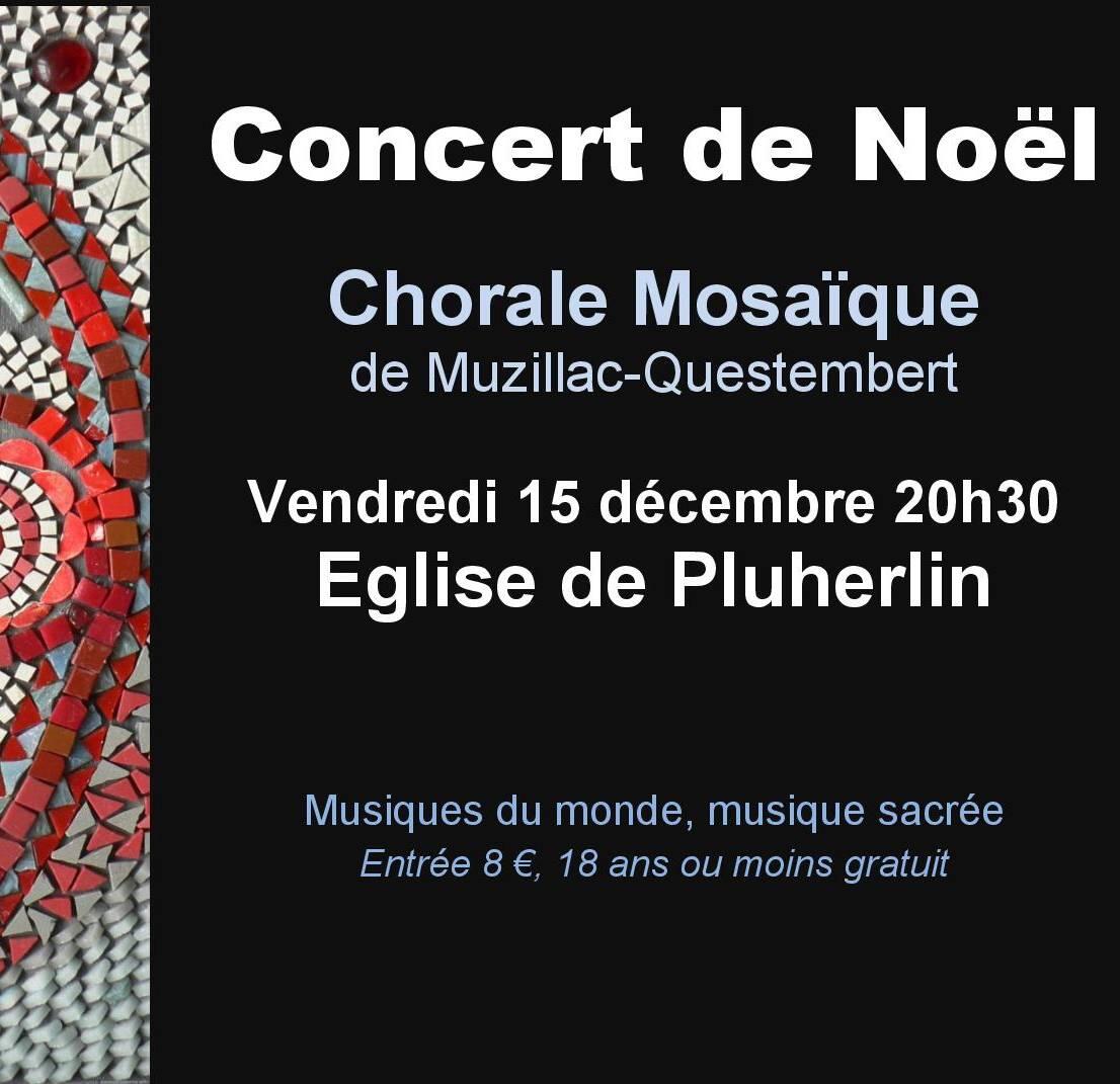 ConcertNoelPluherlin (1).jpg