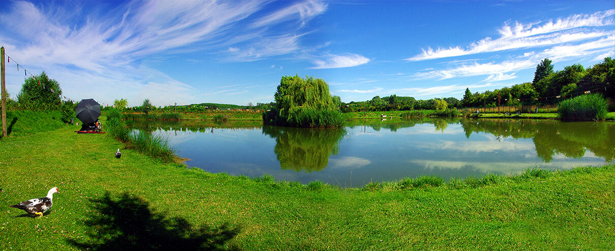 Etang de Cuinchy.jpg