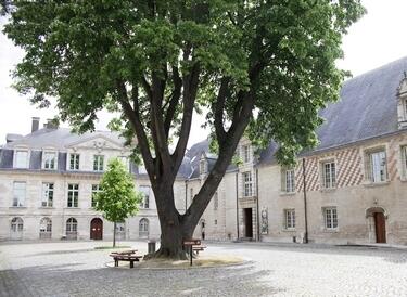 MAMCourArbre (c) A. Clergeot - Ville de Troyes (2).jpg