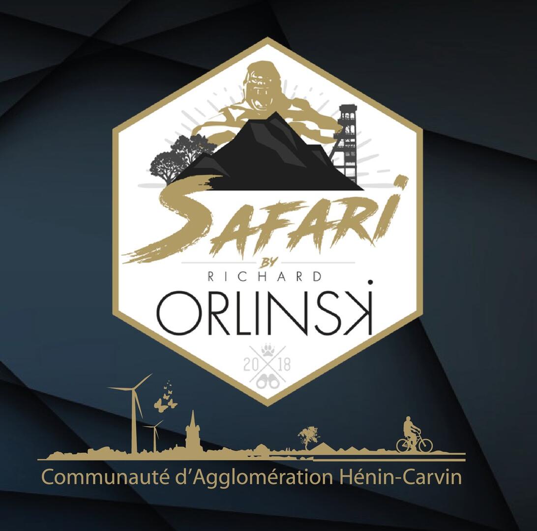 Safari urbain by Richard Orlinski - Bassin minier 2018.jpg