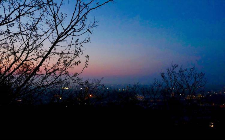 vin-terril-firmament-valenciennes-visite-guidée.jpg