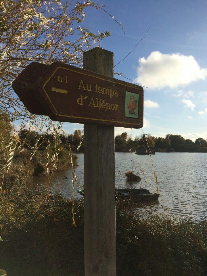 Au Temps d'Alienor OK.jpg