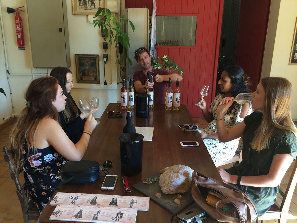 Visite de 3 vignobles Dégustation de vins.jpg