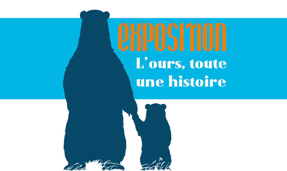 ours-toute-histoire.jpg