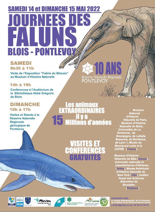 Journée des faluns.jpeg