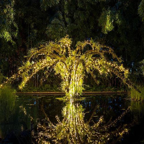 nocturnes chaumont.jpg