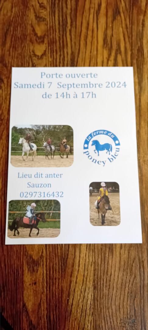 porte ouverte - Poney Bleu.jpg