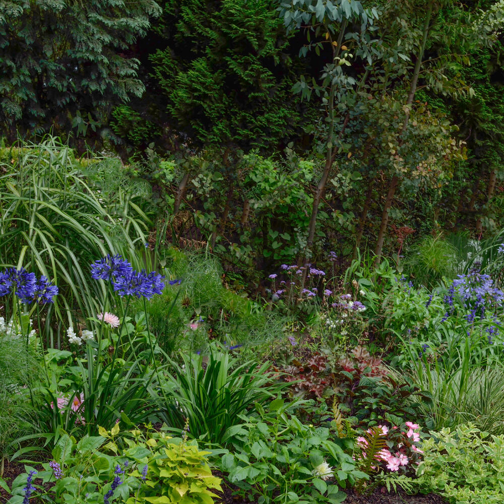 jardin secret 2.jpg