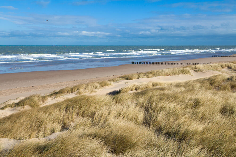 97.fort mahon_09.07.2019.jpg