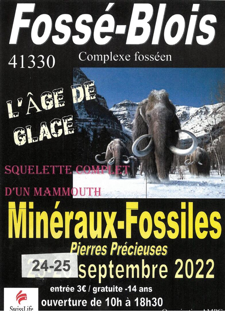 Salon des minéraux et des fossiles à Fossé.jpeg