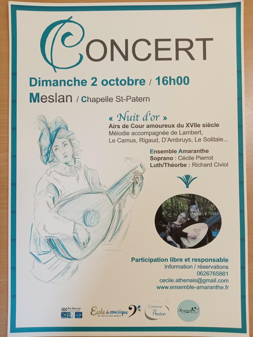 Concert - Meslan - 02.10.jpg