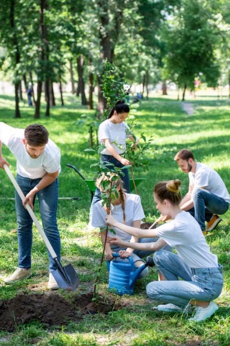 Photo_plantation.jpg