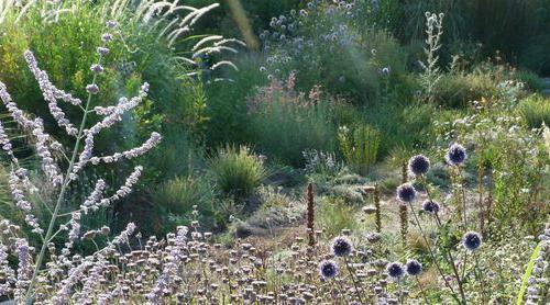jardin champêtre caunes mvois.jpg